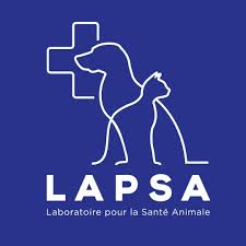 LAPSA